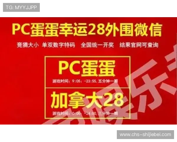 世界杯竞猜步骤详解：详细说明注册、充值、选择比赛到投注的完整流程